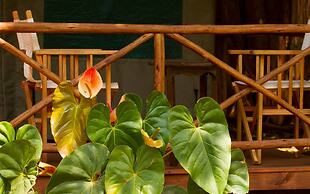 Simbamwenni Lodge and Camping