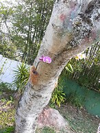 Hostal Blanco Apart-Hotel