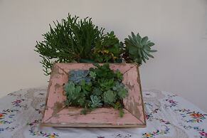 Aalkies Dream Luxurious Selfcatering