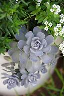 Aalkies Dream Luxurious Selfcatering