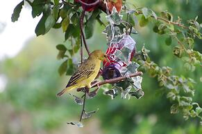 Aalkies Dream Luxurious Selfcatering