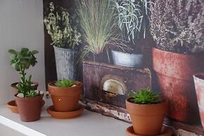 Aalkies Dream Luxurious Selfcatering