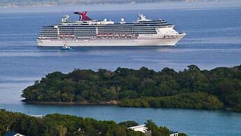 Paradise Point Views