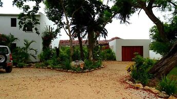 Paradise Point Views