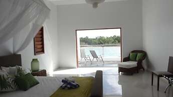 Paradise Point Views