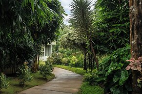 The Woods Resorts Wayanad