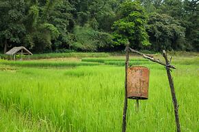 The Woods Resorts Wayanad