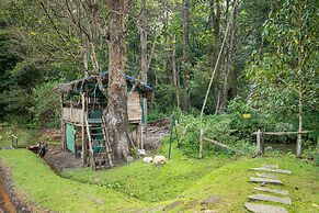 The Woods Resorts Wayanad