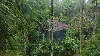 The Woods Resorts Wayanad