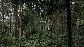 The Woods Resorts Wayanad