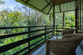 The Woods Resorts Wayanad