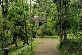 The Woods Resorts Wayanad