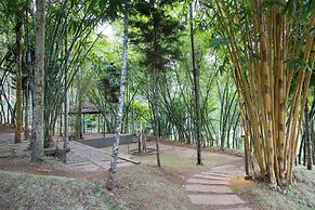 The Woods Resorts Wayanad