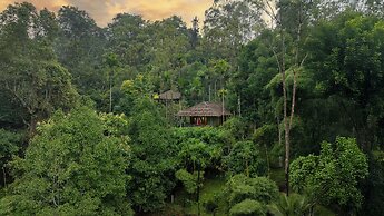 The Woods Resorts Wayanad
