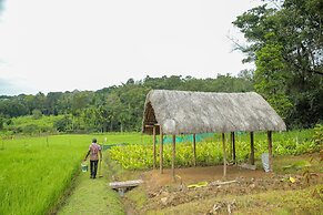 The Woods Resorts Wayanad