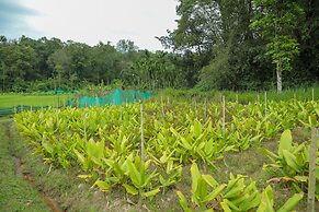 The Woods Resorts Wayanad