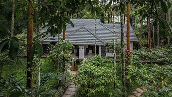 The Woods Resorts Wayanad