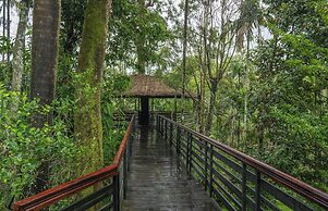 The Woods Resorts Wayanad