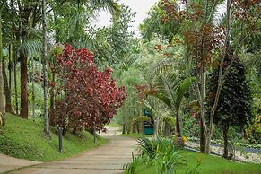 The Woods Resorts Wayanad