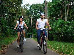 The Woods Resorts Wayanad