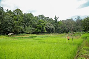 The Woods Resorts Wayanad