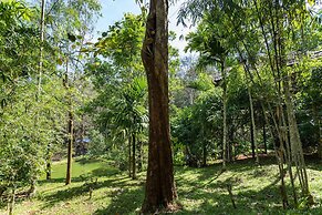 The Woods Resorts Wayanad