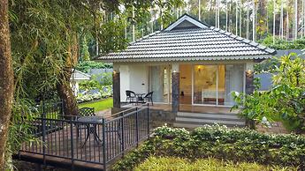 The Woods Resorts Wayanad
