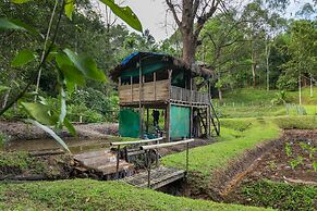 The Woods Resorts Wayanad