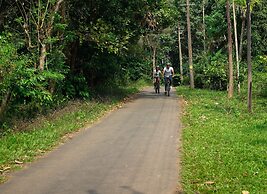 The Woods Resorts Wayanad