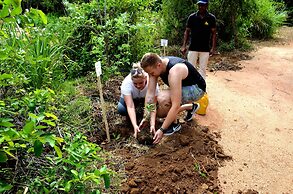 Sigiriya King's Resort
