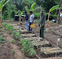 Sigiriya King's Resort