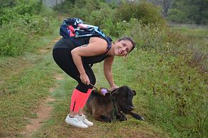 Sigiriya King's Resort