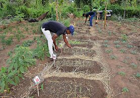 Sigiriya King's Resort