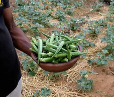 Sigiriya King's Resort