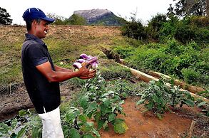 Sigiriya King's Resort