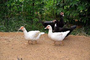 Sigiriya King's Resort