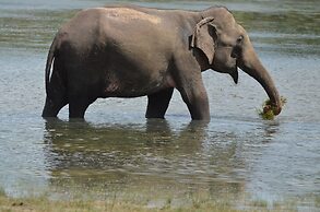 Sigiriya King's Resort