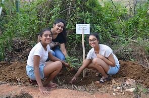 Sigiriya King's Resort