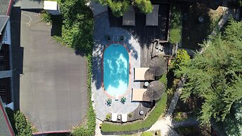 Agva Tree Tops Park Hotel