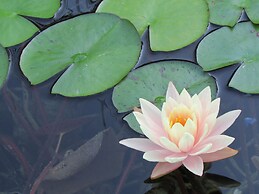 La Villa les Hespérides