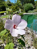 La Villa les Hespérides