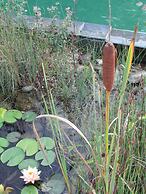 La Villa les Hespérides