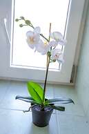 Apartments in City Center Ventus