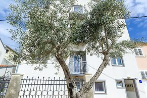 Apartments in City Center Ventus