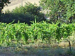 Agriturismo San Pietro