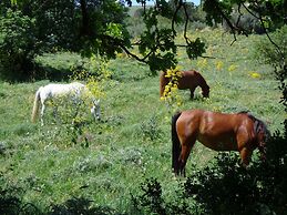 Agriturismo San Pietro