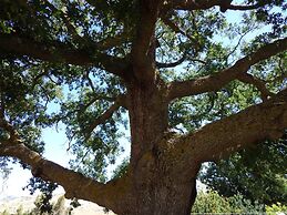 Agriturismo San Pietro