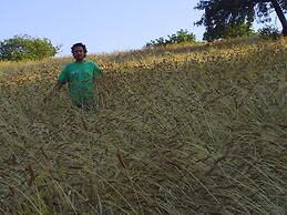 Agriturismo San Pietro
