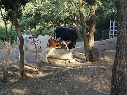 Agriturismo San Pietro