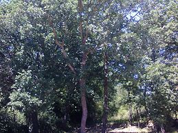 Agriturismo San Pietro